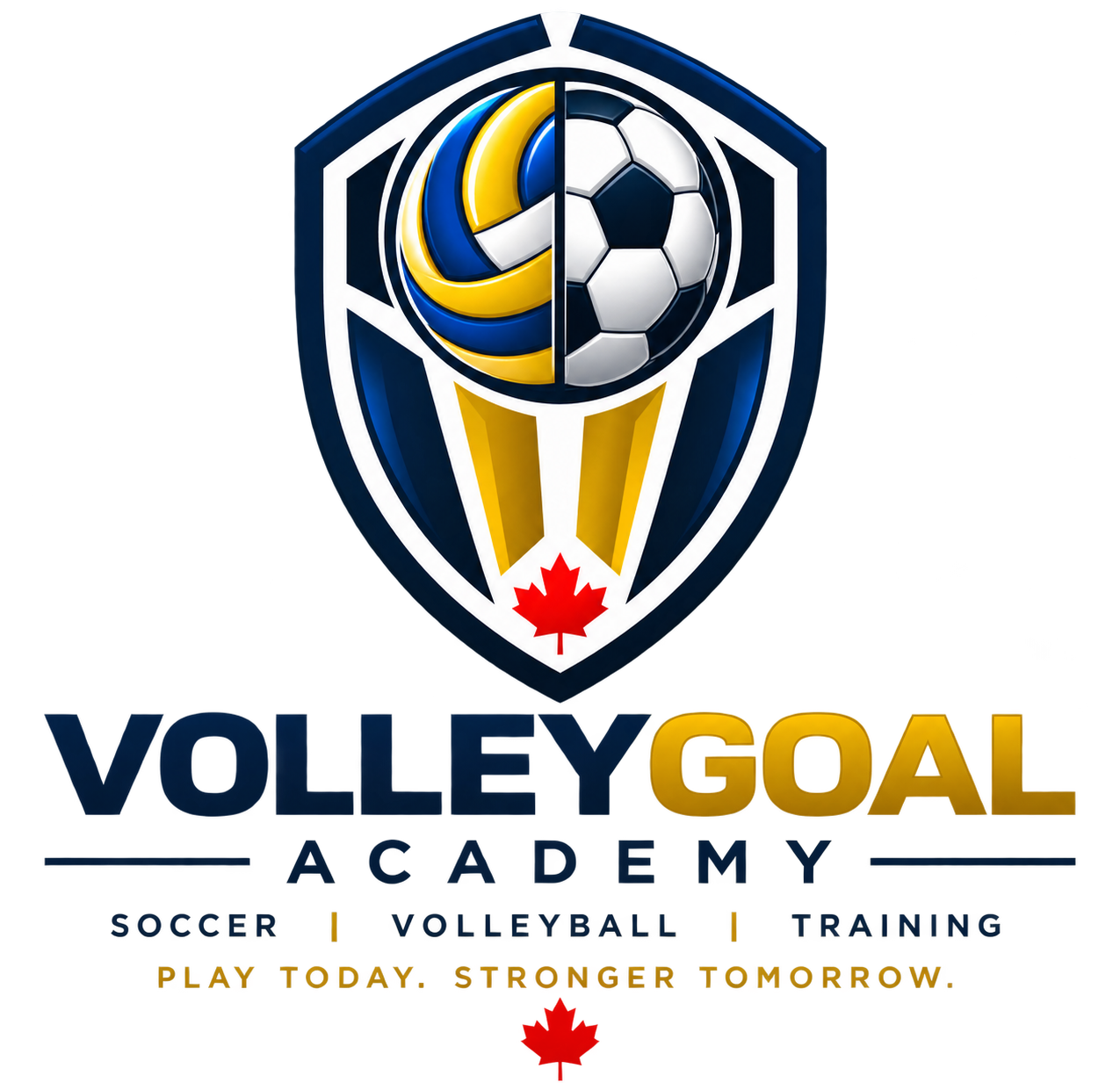 Volley Goal Academy full logo